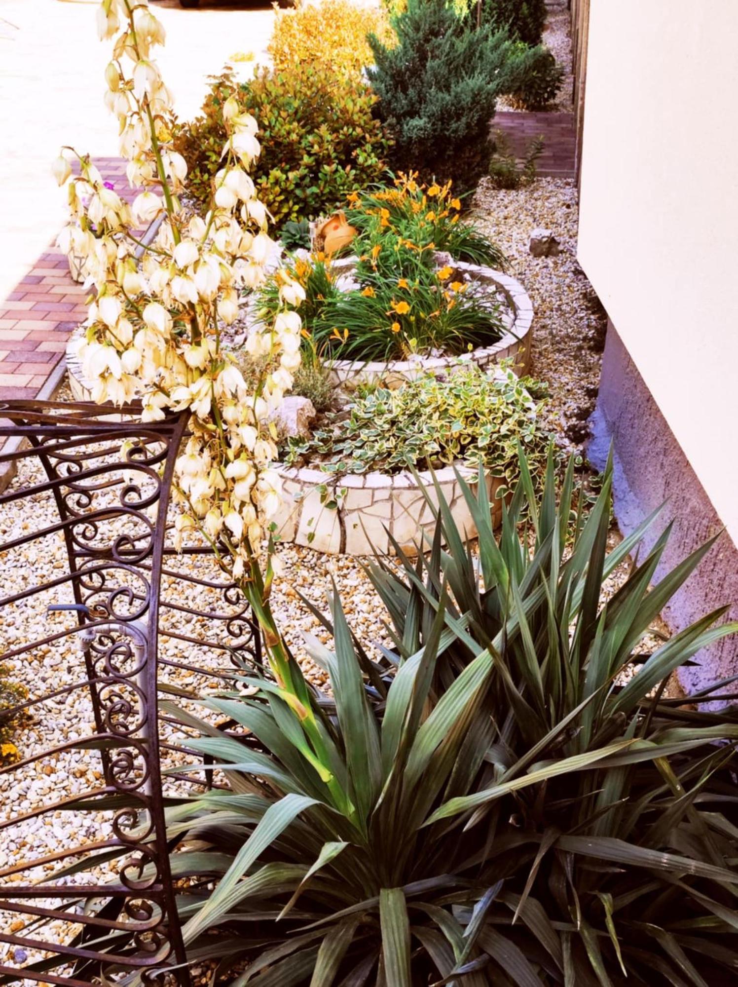 Apartment Aranyhal *